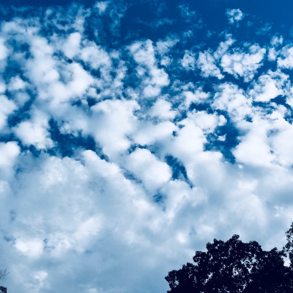 Meet your Posher, Lena